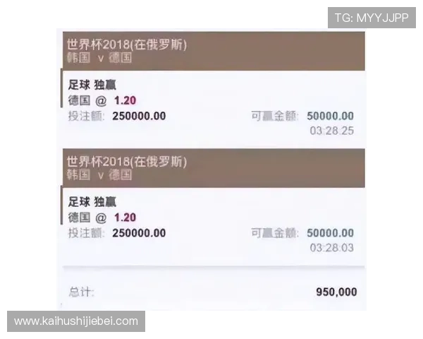 欧洲杯买球网站入口推荐理由，保障用户资金安全与投注体验
